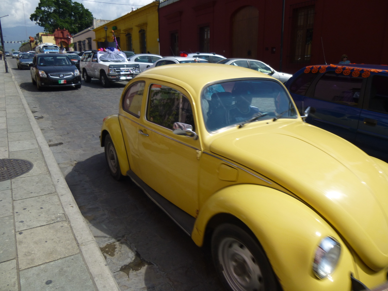 Illustration for article titled An Incomplete Survey of VWs in Oaxaca, Mexico